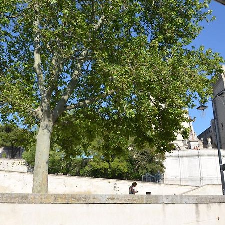 Apartmán Face Au Palais Des Papes Avignon Exteriér fotografie